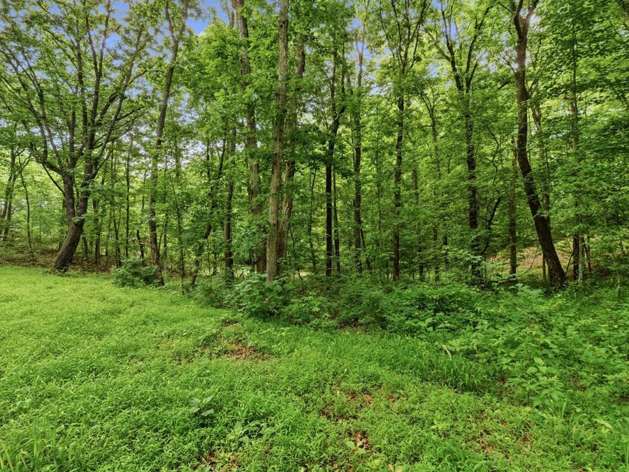 Property Image 23