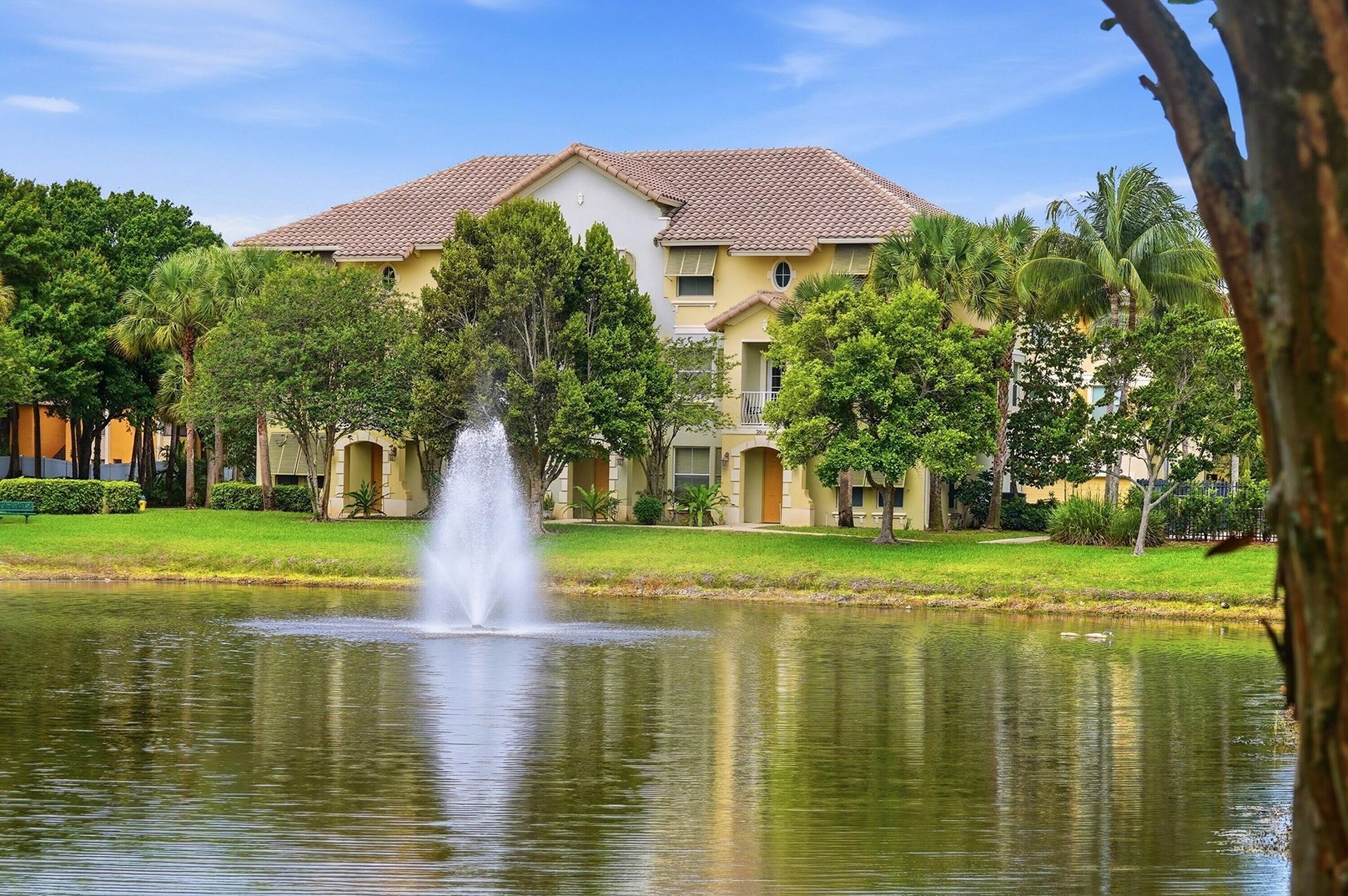 3902 White Peacock Lane, Coconut Creek, FL 33073 Photo