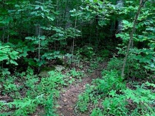 tbd Whitewater Cove , Montreat, NC 28757