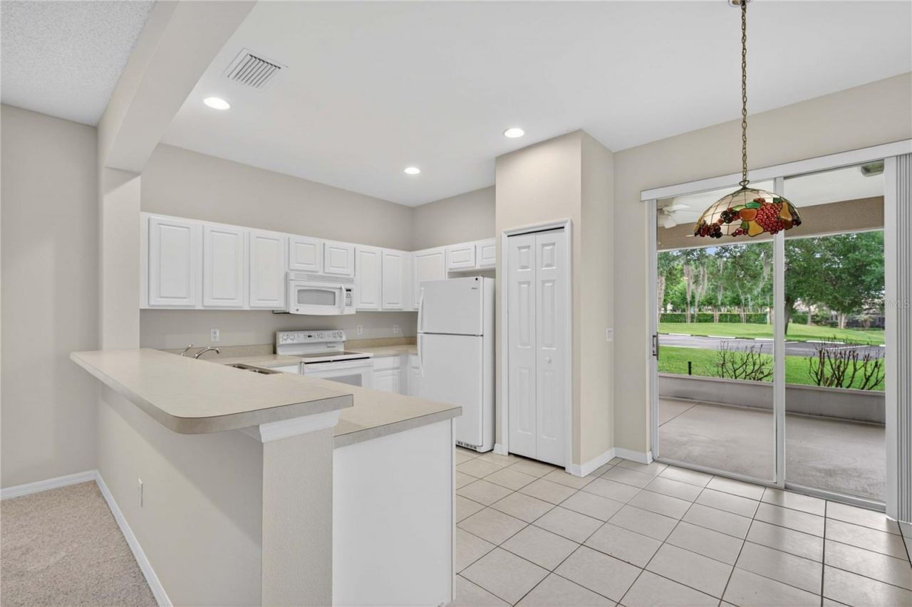 1005 Saint Ives Court , Mount Dora, FL 32757 Photo