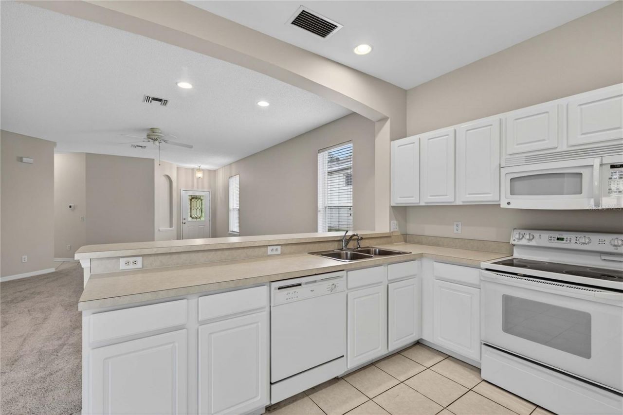 1005 Saint Ives Court , Mount Dora, FL 32757 Photo