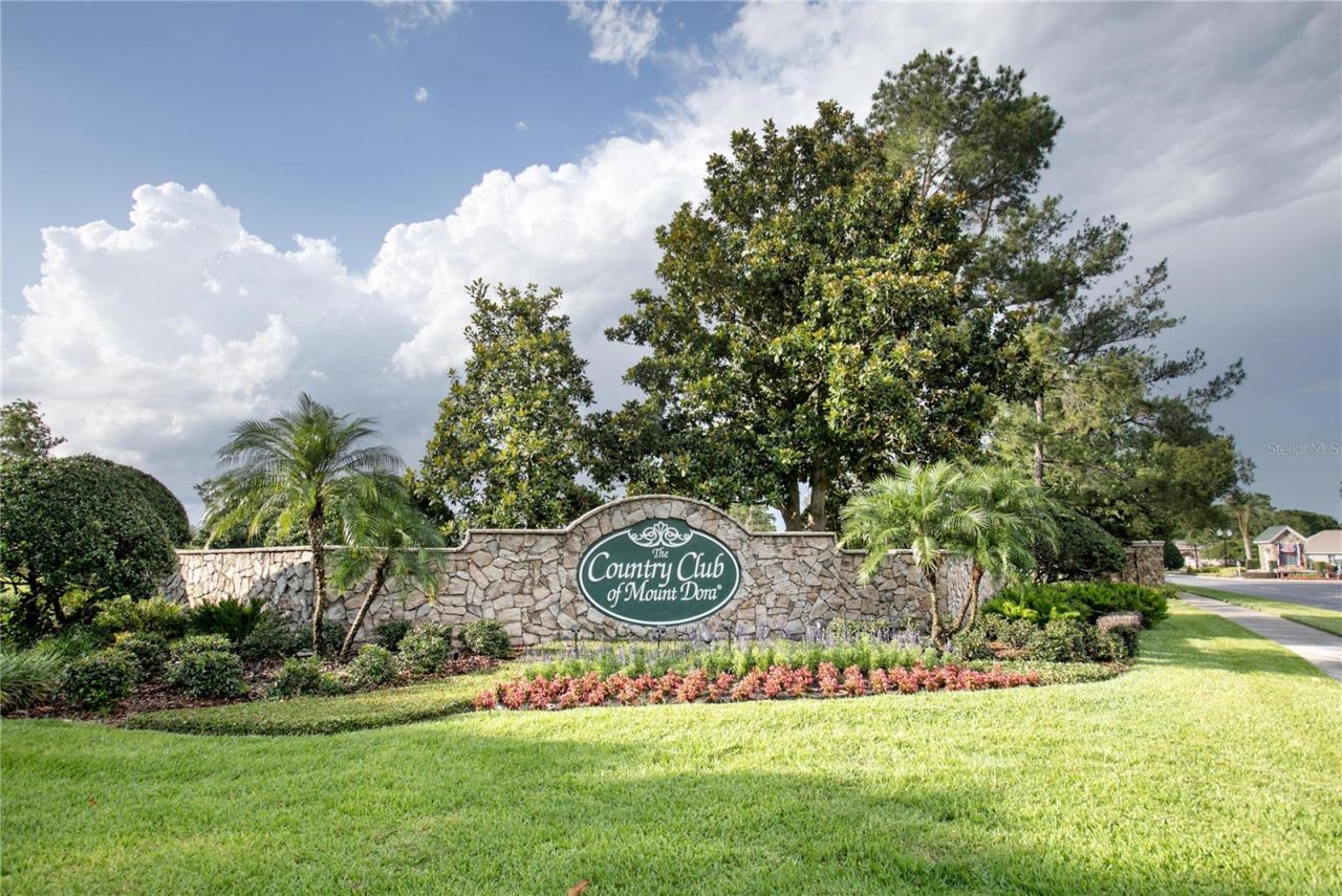 1005 Saint Ives Court , Mount Dora, FL 32757 Photo