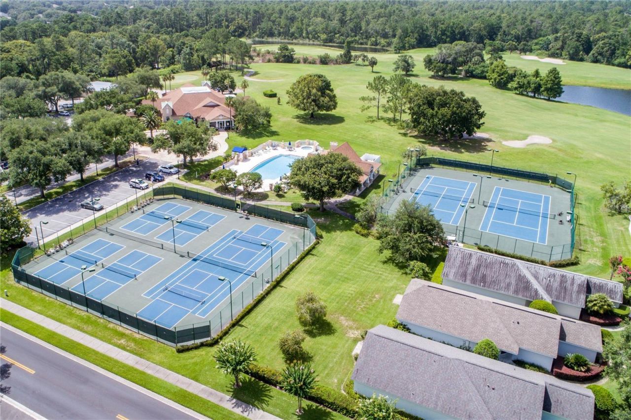 1005 Saint Ives Court , Mount Dora, FL 32757 Photo