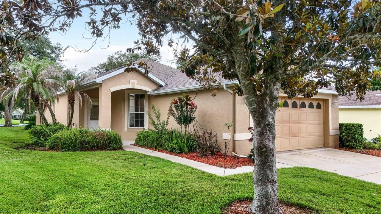 1005 Saint Ives Court , Mount Dora, FL 32757 Photo