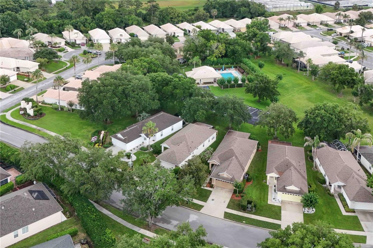 1005 Saint Ives Court , Mount Dora, FL 32757 Photo