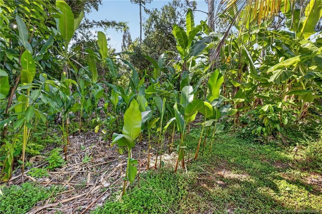 11145 SW Meadowlark Circle, Stuart, FL 34997 Photo