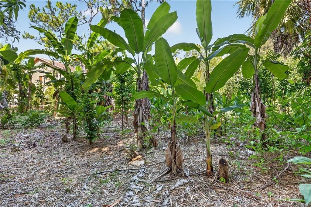 11145 SW Meadowlark Circle, Stuart, FL 34997 Photo