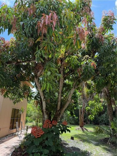 11145 SW Meadowlark Circle, Stuart, FL 34997 Photo