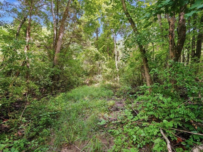 6654 Osceola Road, Harlan Township, OH 45152 Photo 53