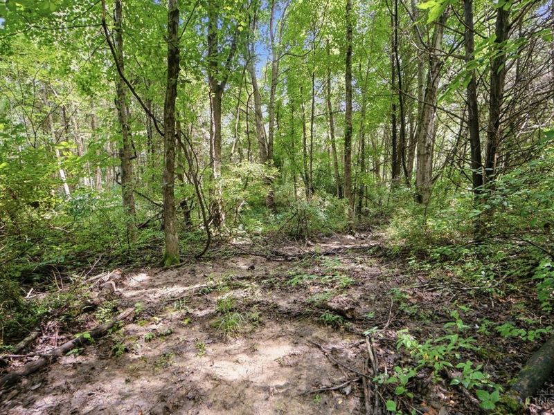 6654 Osceola Road, Harlan Township, OH 45152 Photo 54
