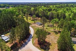 351 Sassafras Court photo 4