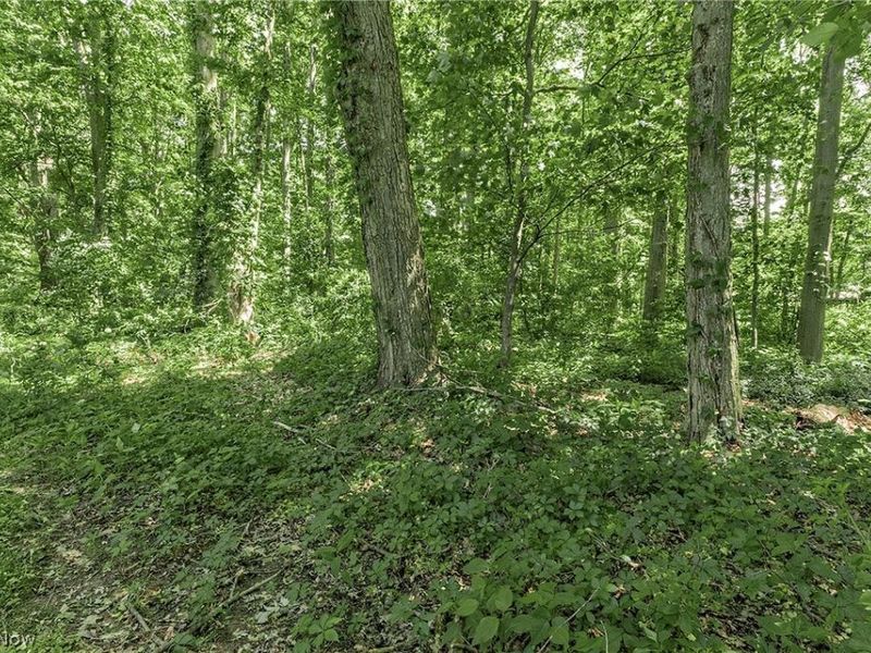 9090 Aileen Drive, Mentor, OH 44060 Photo 30