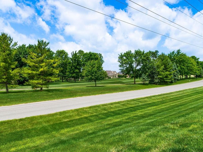 10252 Braeburn Court, Powell, OH 43065 Photo 9