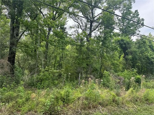 12558 N CENTRAL Avenue , Roseland, LA 70456