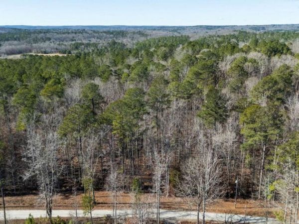 0 Pace Road, Chattahoochee Hills, GA 30213
