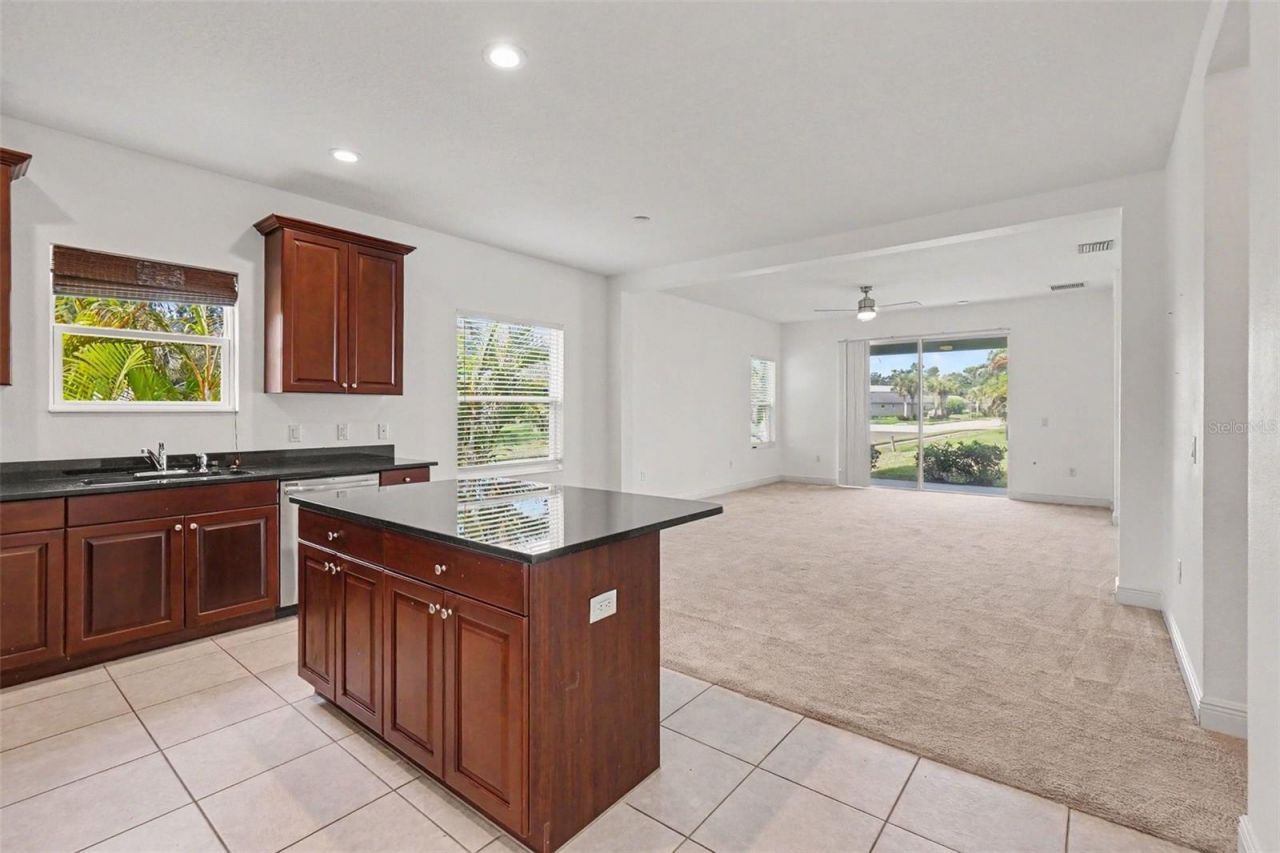 4107 Pine Meadow Drive, Parrish, FL 34219 Photo