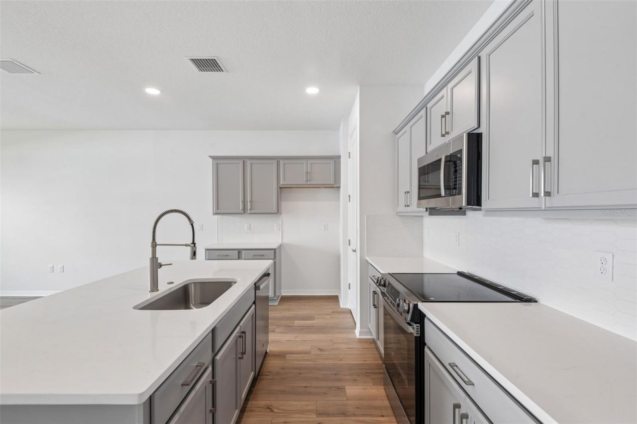 31542 Azure Beach Drive, San Antonio, FL 33576 Photo