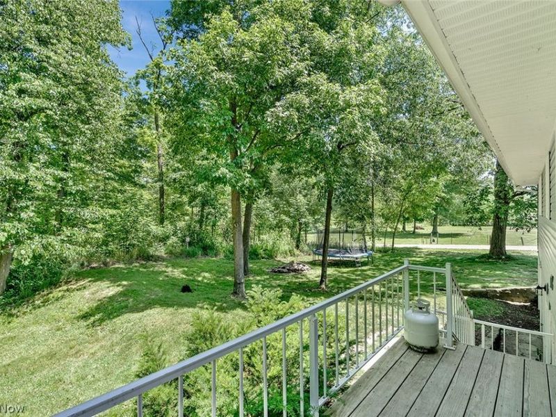 9320 W Akron Canfield Road, Canfield, OH 44406 Photo 34