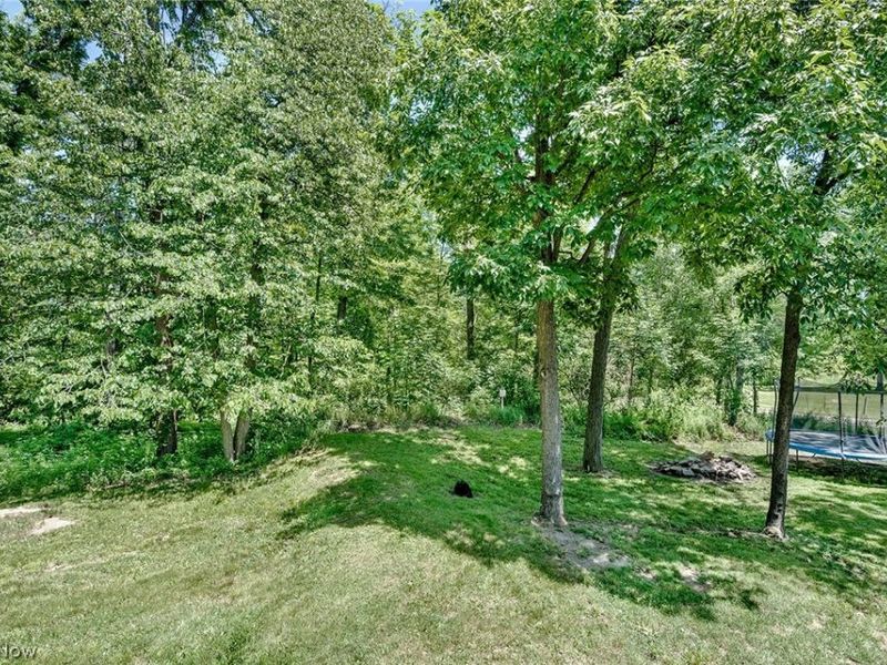 9320 W Akron Canfield Road, Canfield, OH 44406 Photo 35
