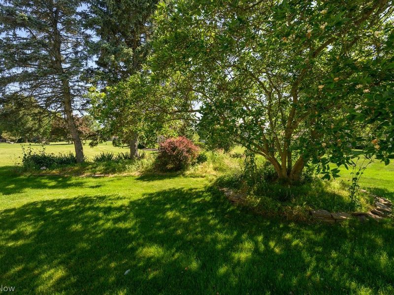 8251 Athens Avenue NW, Massillon, OH 44646 Photo 42