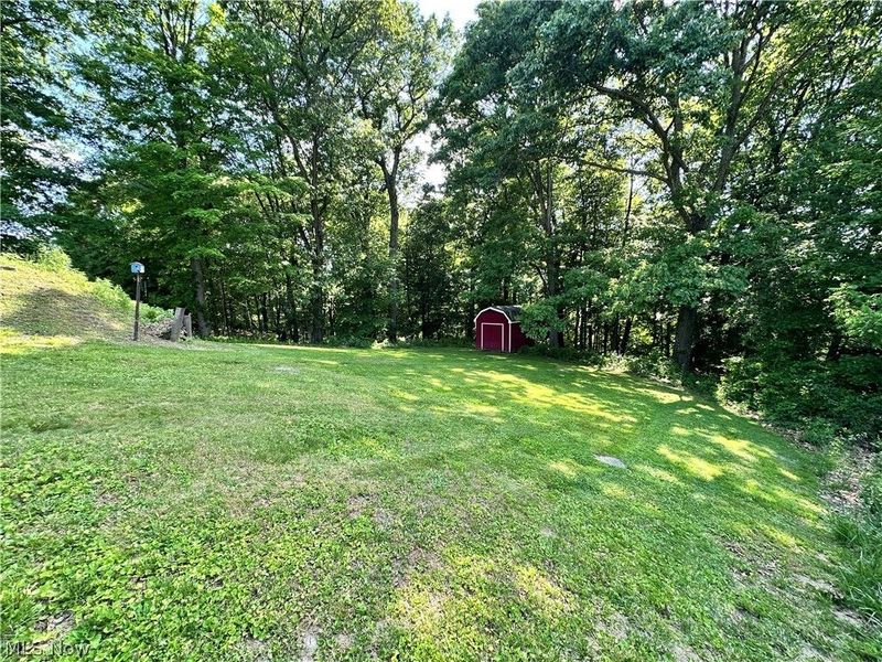16549 Saint Clair Avenue , Calcutta, OH 43920 Photo 21