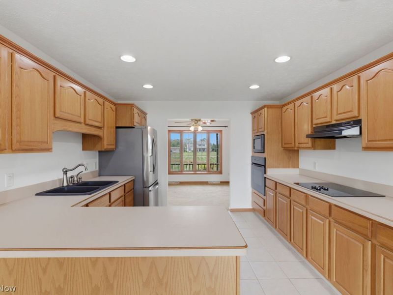 41687 Rachael Drive , Lagrange, OH 44050 Photo 11