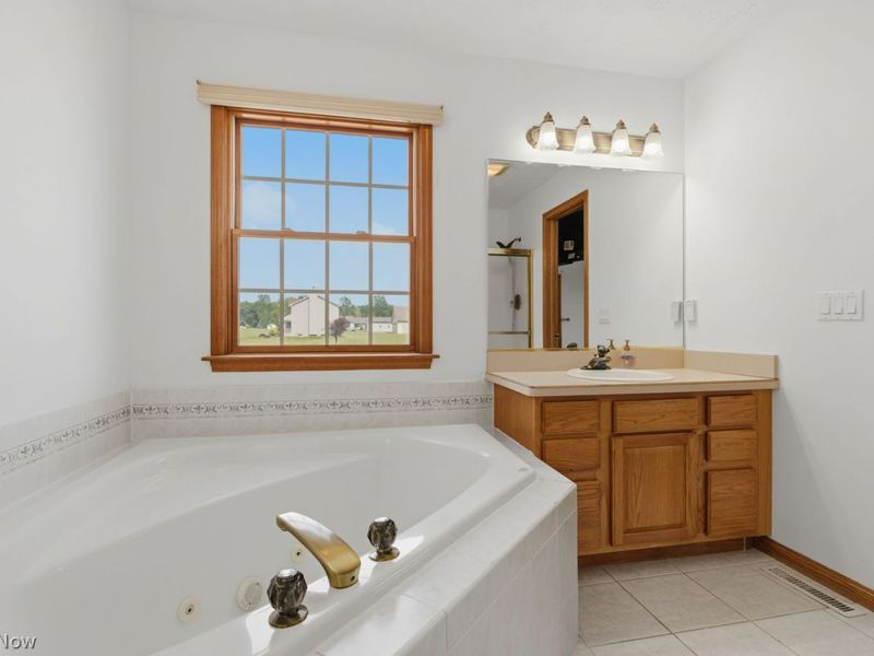 41687 Rachael Drive , Lagrange, OH 44050 Photo 24