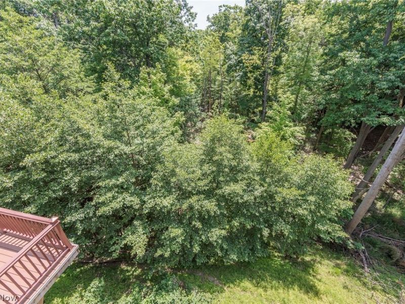 2 Creek Ridge , Rocky River, OH 44116 Photo 46