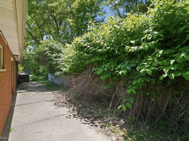 308 - 310 Cluster Avenue, Akron, OH 44305 Photo 21