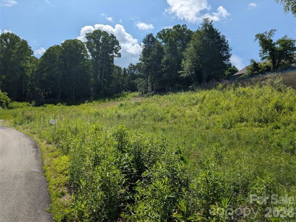 119 Randolph Avenue , Black Mountain, NC 28711