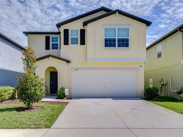 17917 CLOUDLESS BLISS DRIVE , LUTZ, FL 33558