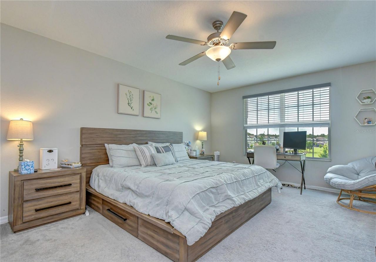 17917 Cloudless Bliss Drive , Lutz, FL 33558 Photo