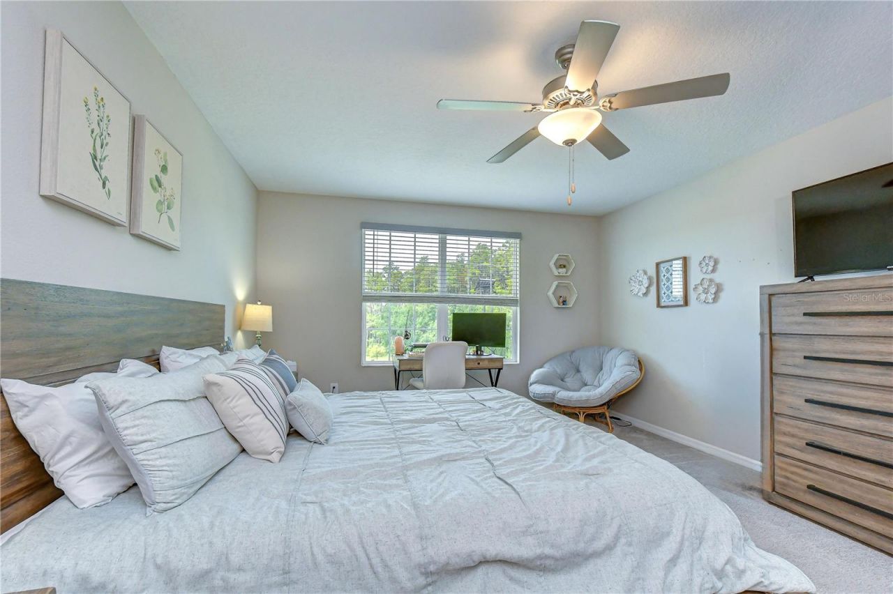 17917 Cloudless Bliss Drive , Lutz, FL 33558 Photo