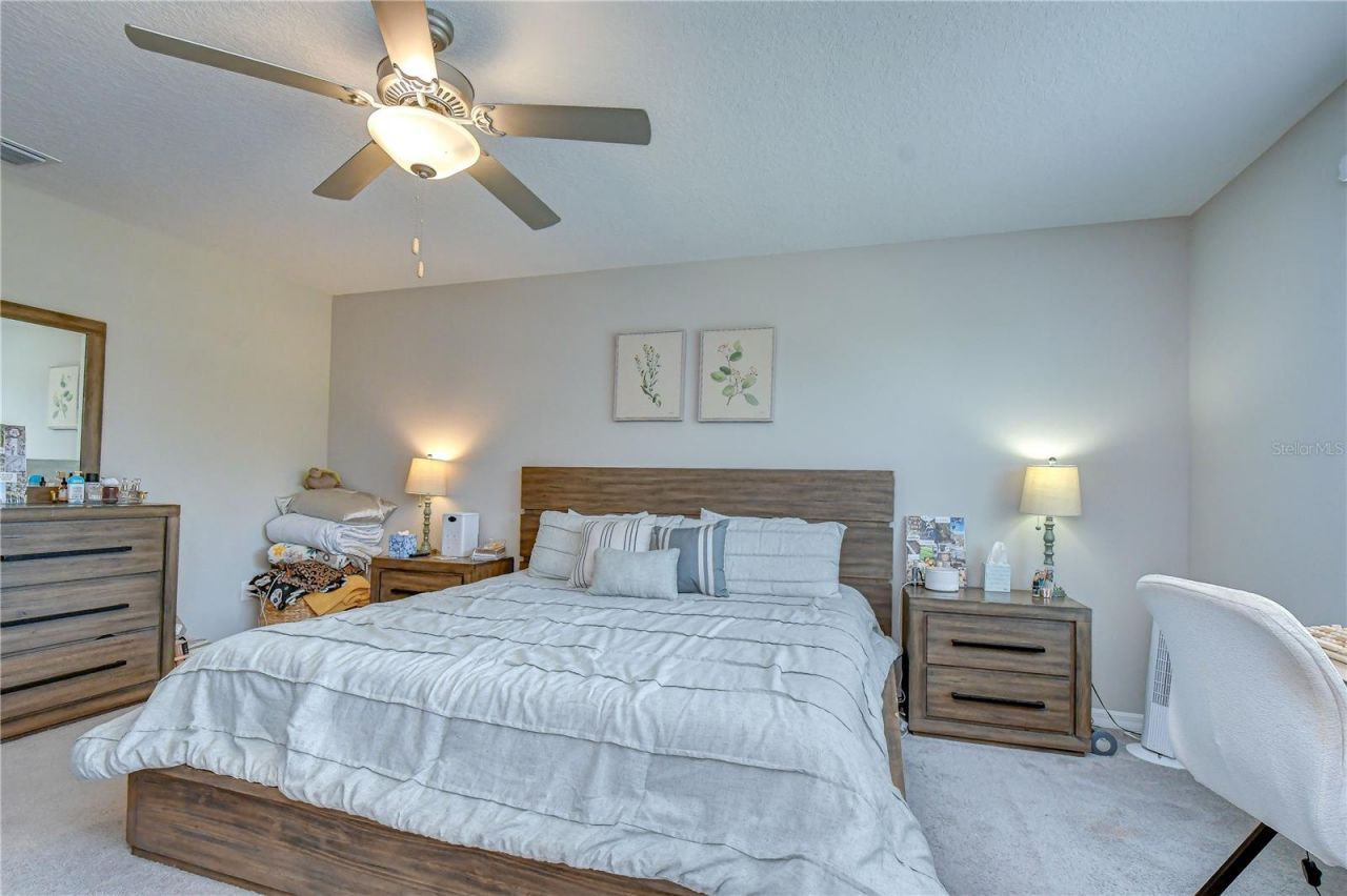17917 Cloudless Bliss Drive , Lutz, FL 33558 Photo