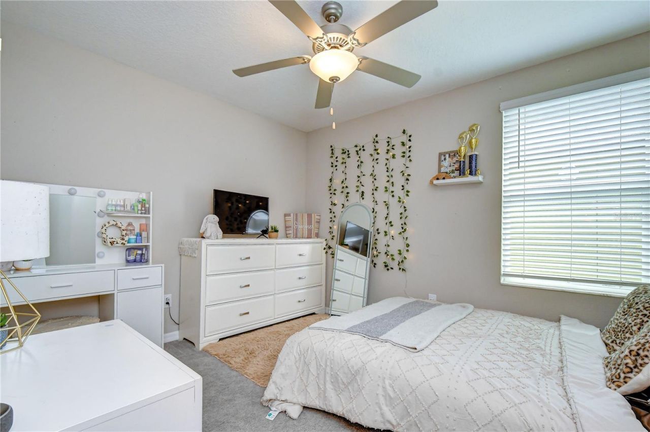 17917 Cloudless Bliss Drive , Lutz, FL 33558 Photo