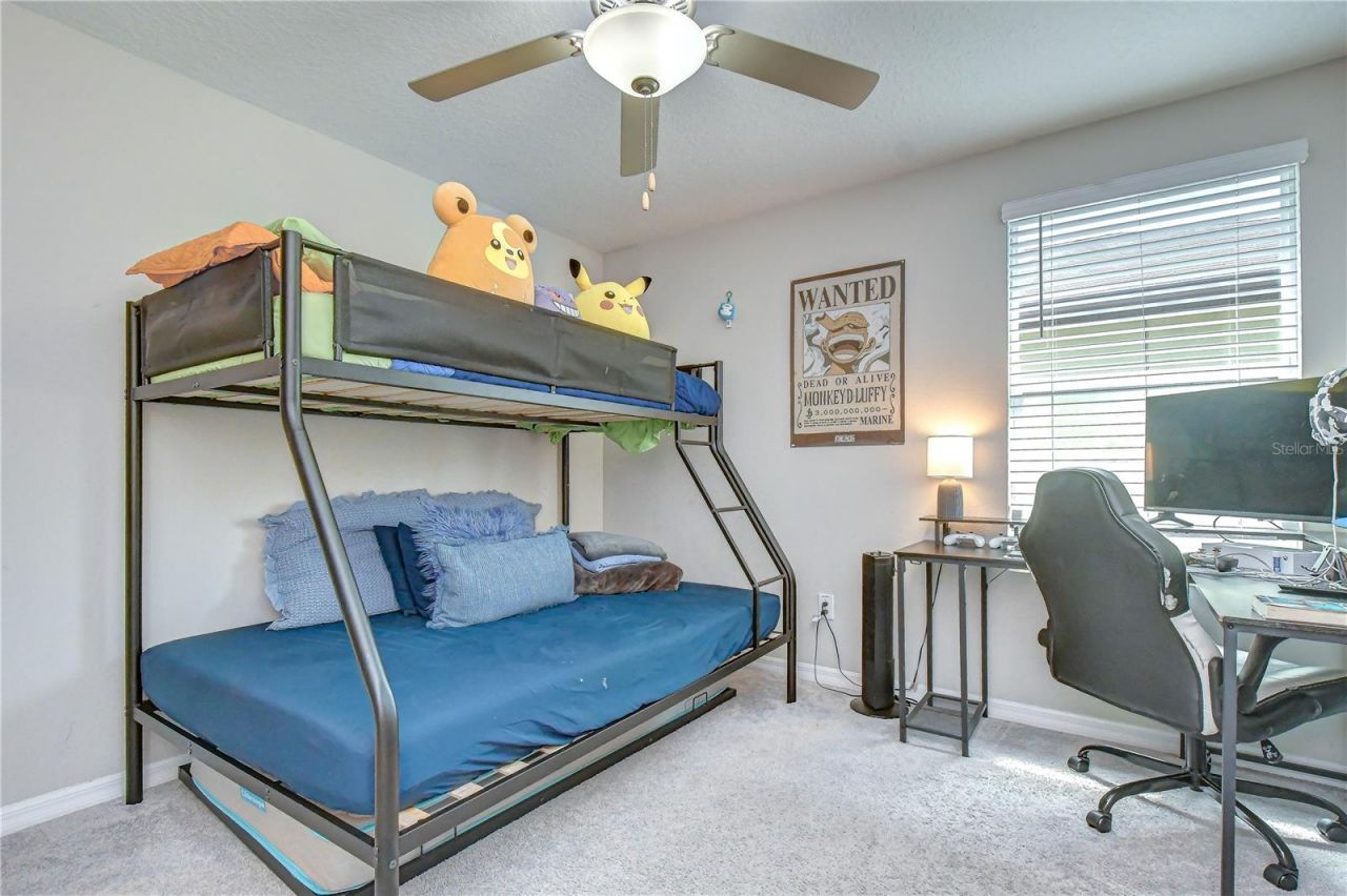 17917 Cloudless Bliss Drive , Lutz, FL 33558 Photo