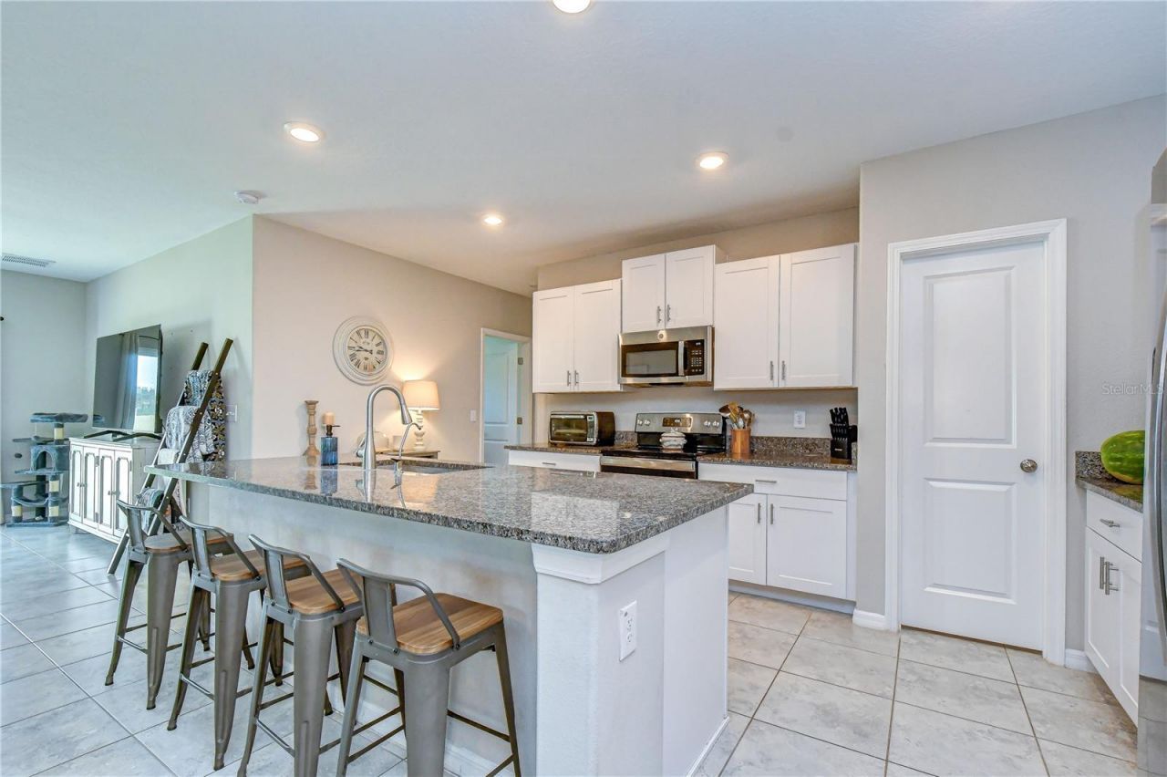 17917 Cloudless Bliss Drive , Lutz, FL 33558 Photo