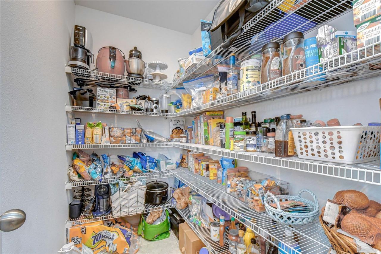 17917 Cloudless Bliss Drive , Lutz, FL 33558 Photo