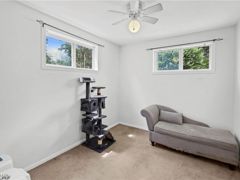 434 E College Street, Alliance, OH 44601 Photo 16
