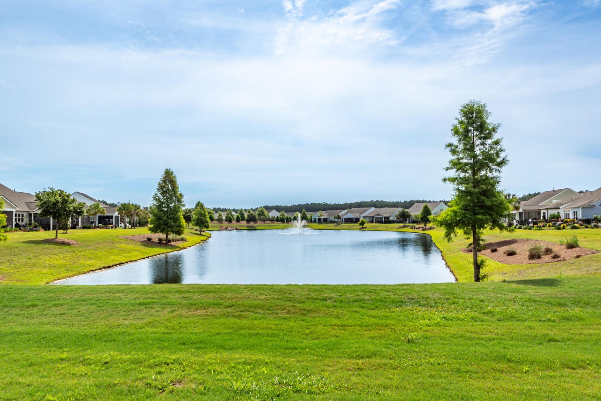 449 Switchgrass Drive Photo 42