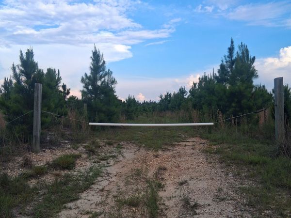 0 Abbeville Highway, Eastman, GA 31023