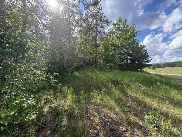 V/L Bear Paw Trail, Unit 10, Vanderbilt, MI 49795