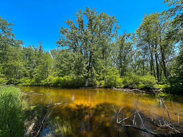 3804 E Wilson Road, Custer, MI 49405