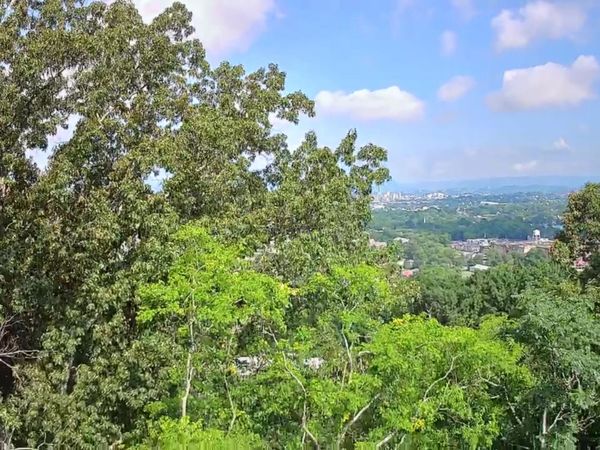 15 Th Avenue, Chattanooga, TN 37404