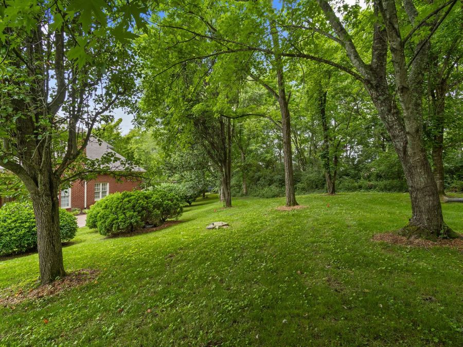 Property Image 73