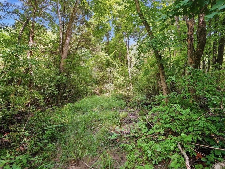 Property Image 56
