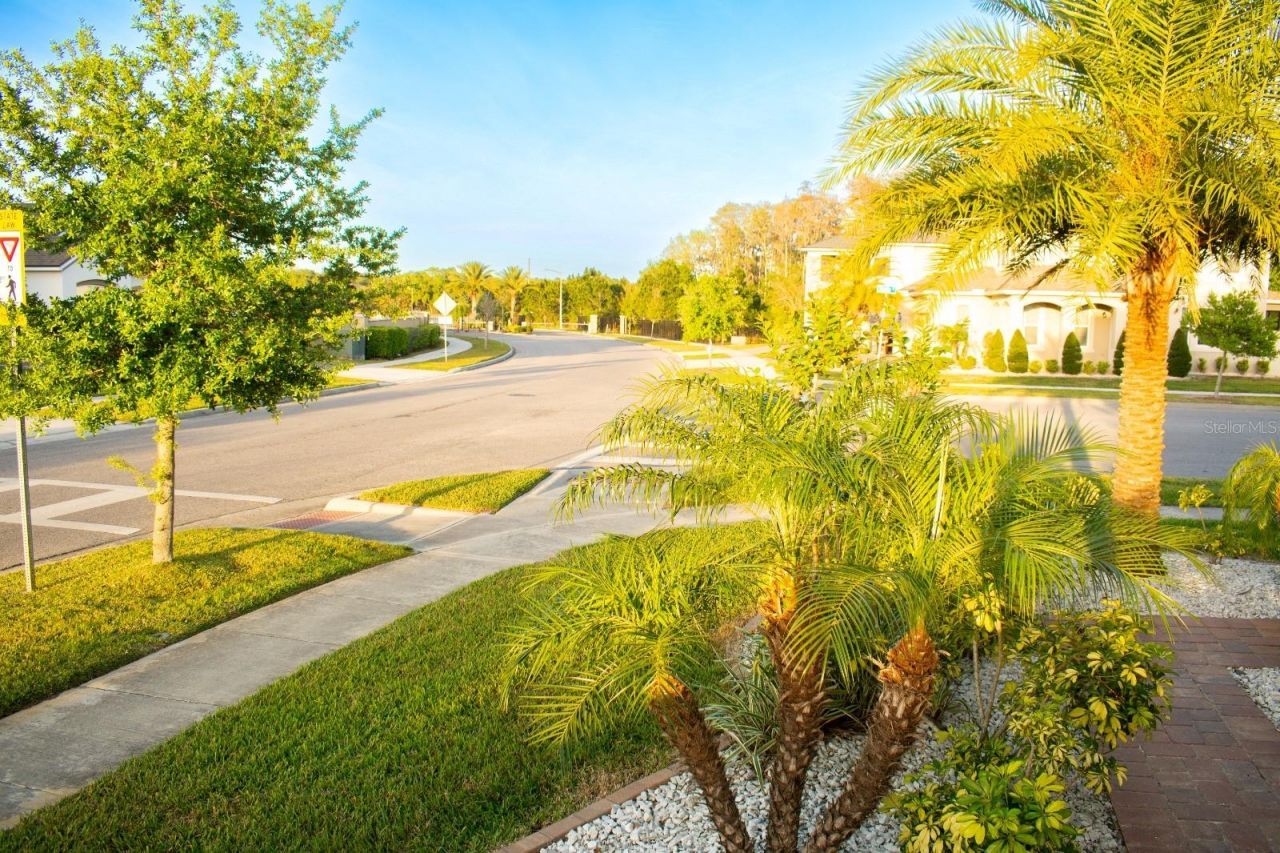 2260 Rapollo Drive, Kissimmee, FL 34741 Photo
