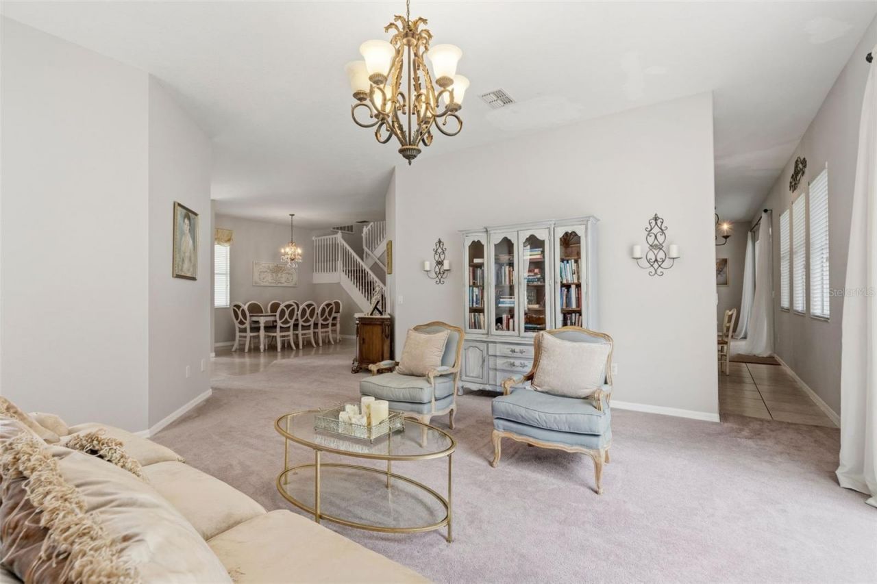 20008 Bluff Oak Boulevard, Tampa, FL 33647 Photo