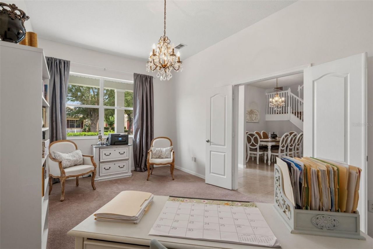 20008 Bluff Oak Boulevard, Tampa, FL 33647 Photo
