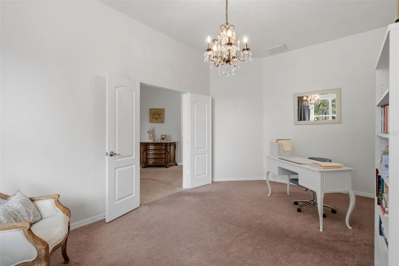20008 Bluff Oak Boulevard, Tampa, FL 33647 Photo